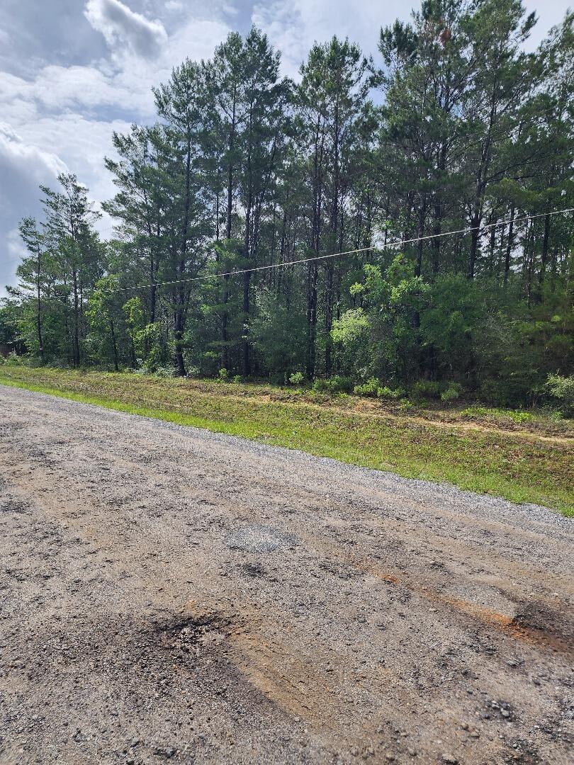 Excellant building lot - Paved Road Frontage. Lot is wooded. Both electricity and public water are available to lot. Tap fees have not been paid. Septic tank will be needed. Lot is located between DeFuniak Springs and Mossy Head Community. Easy access to I-10 and Hwy 285 with an exit to Niceville and Destin to the Beaches. Additional Lot Available (MLS 1004238).