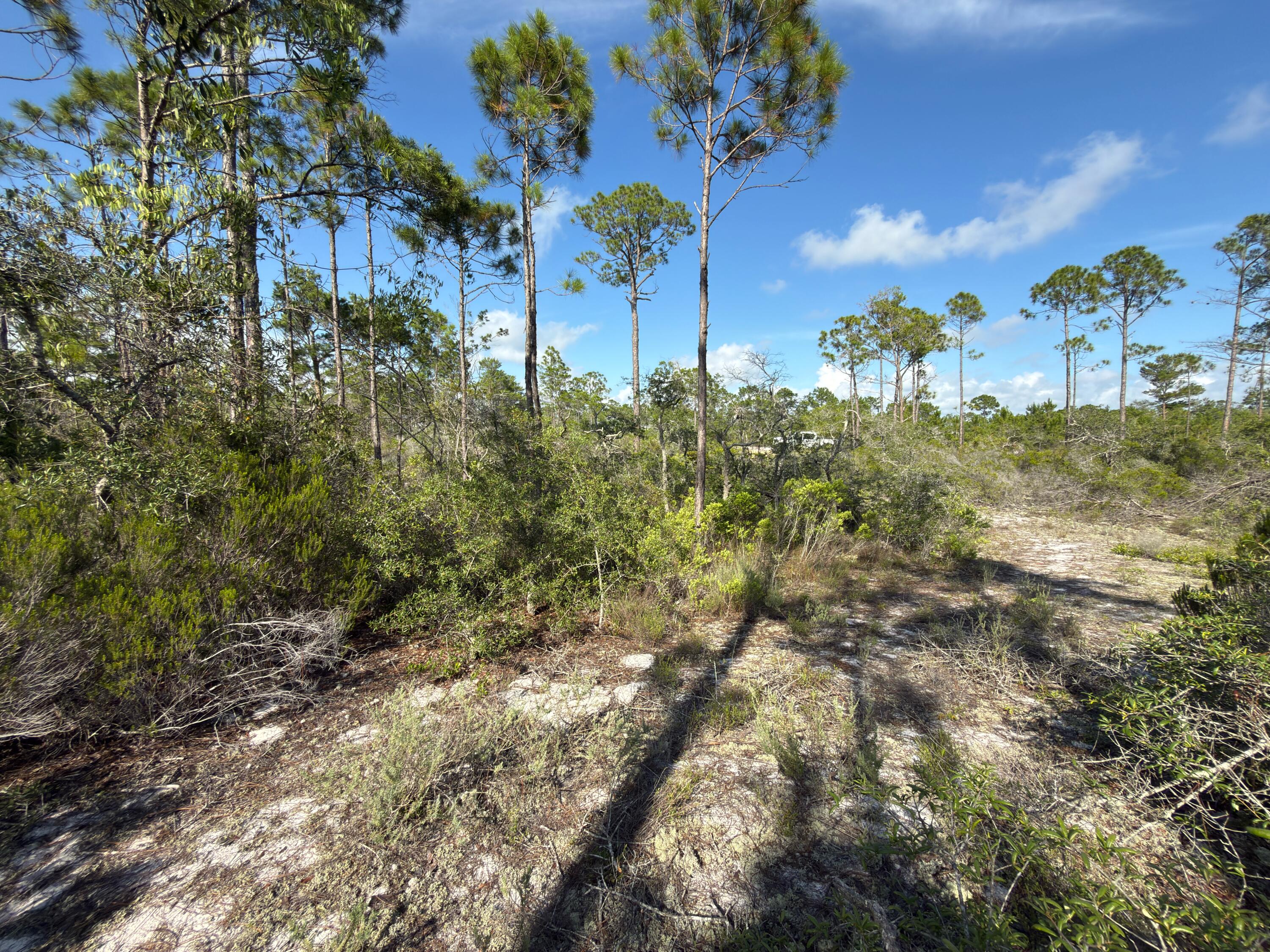 One of the largest lots available near the beach! At over 2/3 acre this .68 acre lot has good elevation with a flowing sand ridge and many native foliage varieties with palmettos, pines, and scrub oaks. Nestled in the St. Joseph Shores community at the end of a dead end driveway, one is assured seclusion with a great location 5 minutes equidistant to Port St Joe or St Joe Beach. Public beach access points just a short golf cart ride in either direction on old Hwy 98. Don't miss out on one of the last parcels roughly 3 times the size of most lots. Some dimensions obtained from the Gulf County Property Appraiser's website. Please verify if important.