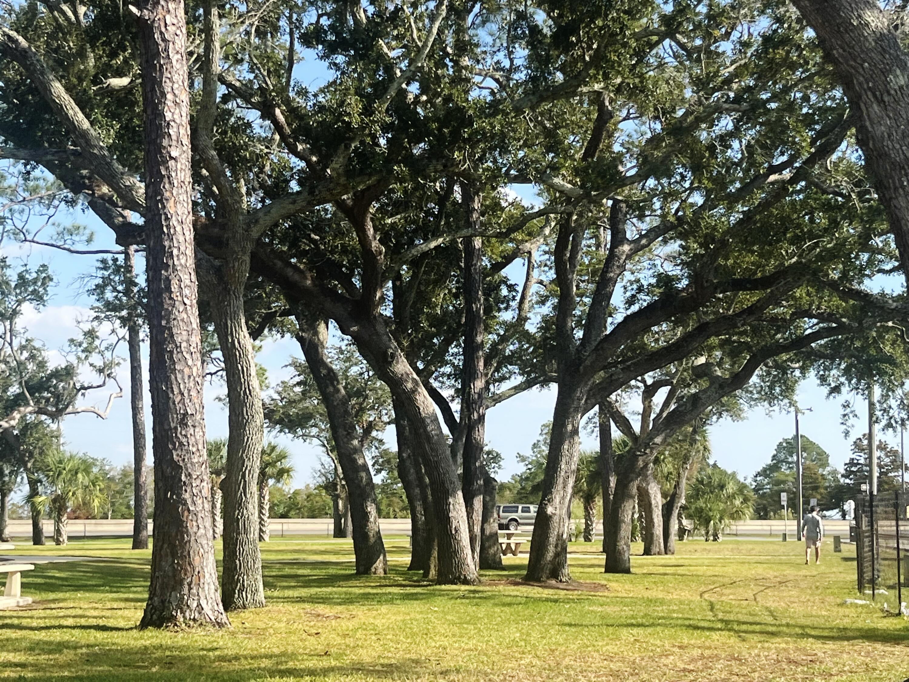 BAY GROVE - Land