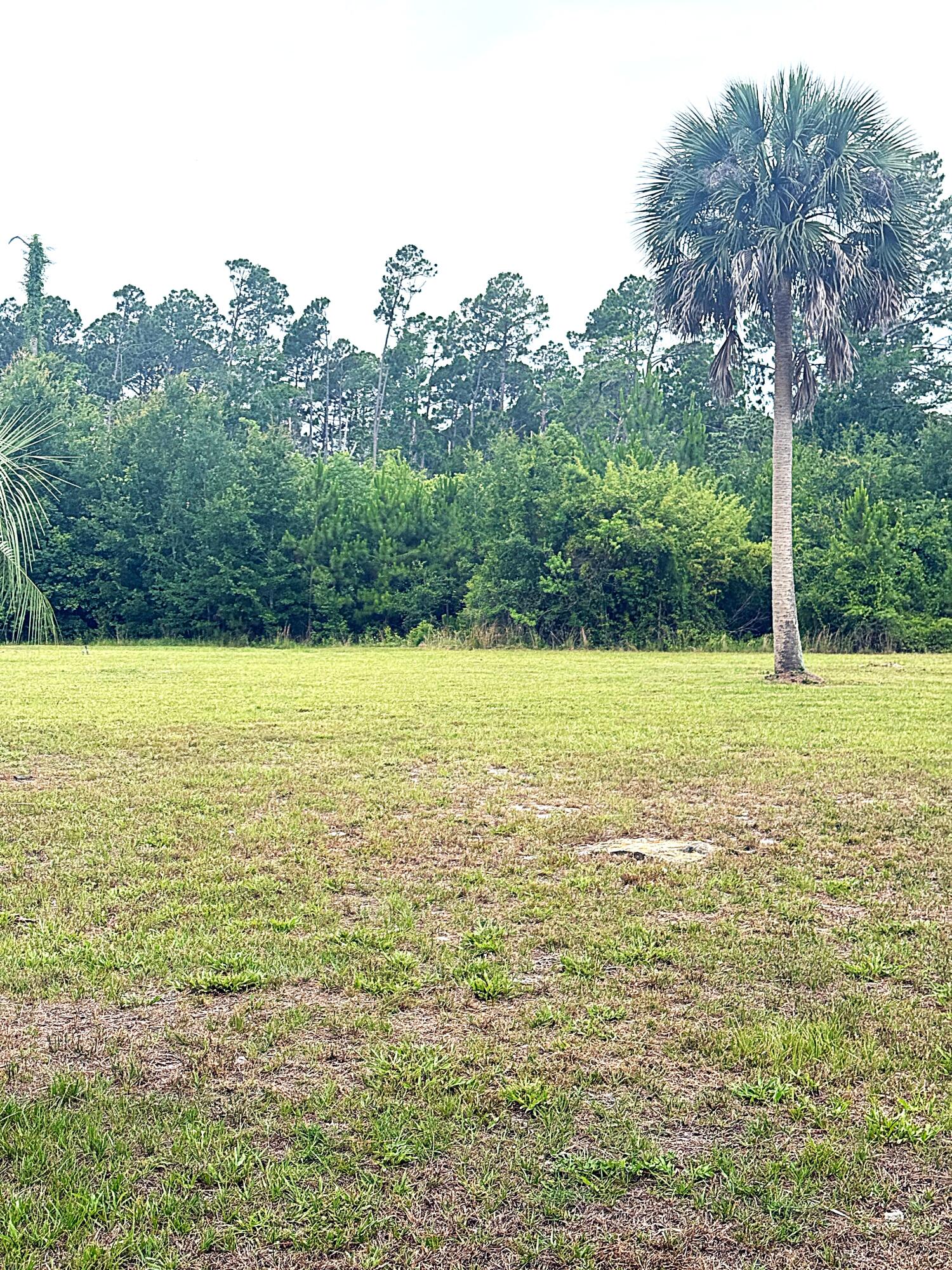 Site ready oversized 1/2 acre plus lots that are golf cart accessible to town, only an easy 3000' distance from St Joseph Bay. NO HOA, X Flood Zone on a major portion of the lot, high and dry with established grass, paved dead end street with no through traffic, water, sewer, electric, propane available and RV compliant. Lot is 3 to 5 times the size of comparable area lots and are priced below market. Lot is a portion of parcel ID # 06223-000R subject to division per the attached rendering. Final survey to be provided by owner. Some information was obtained via the Gulf County Property Appraisers Office, please verify if important.