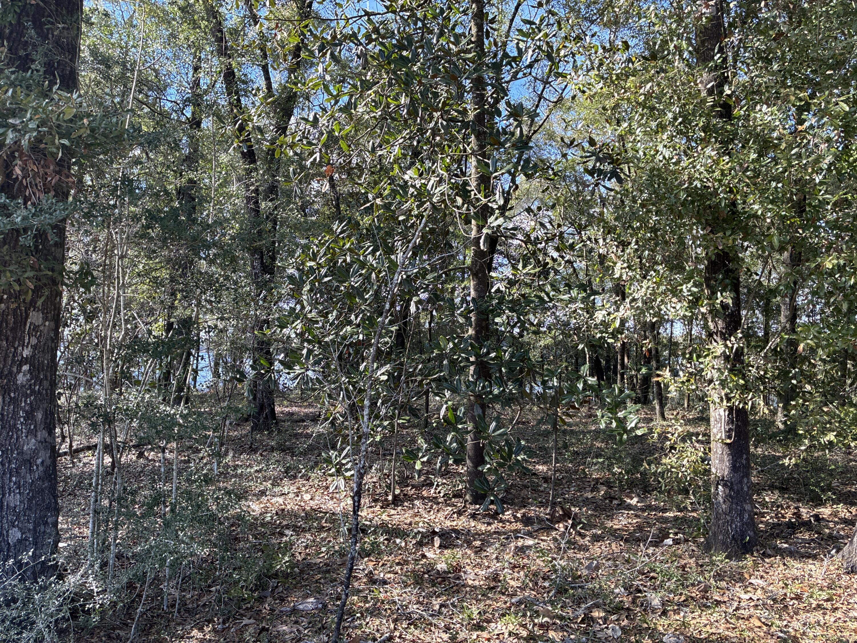 Seacoast Estates - Land