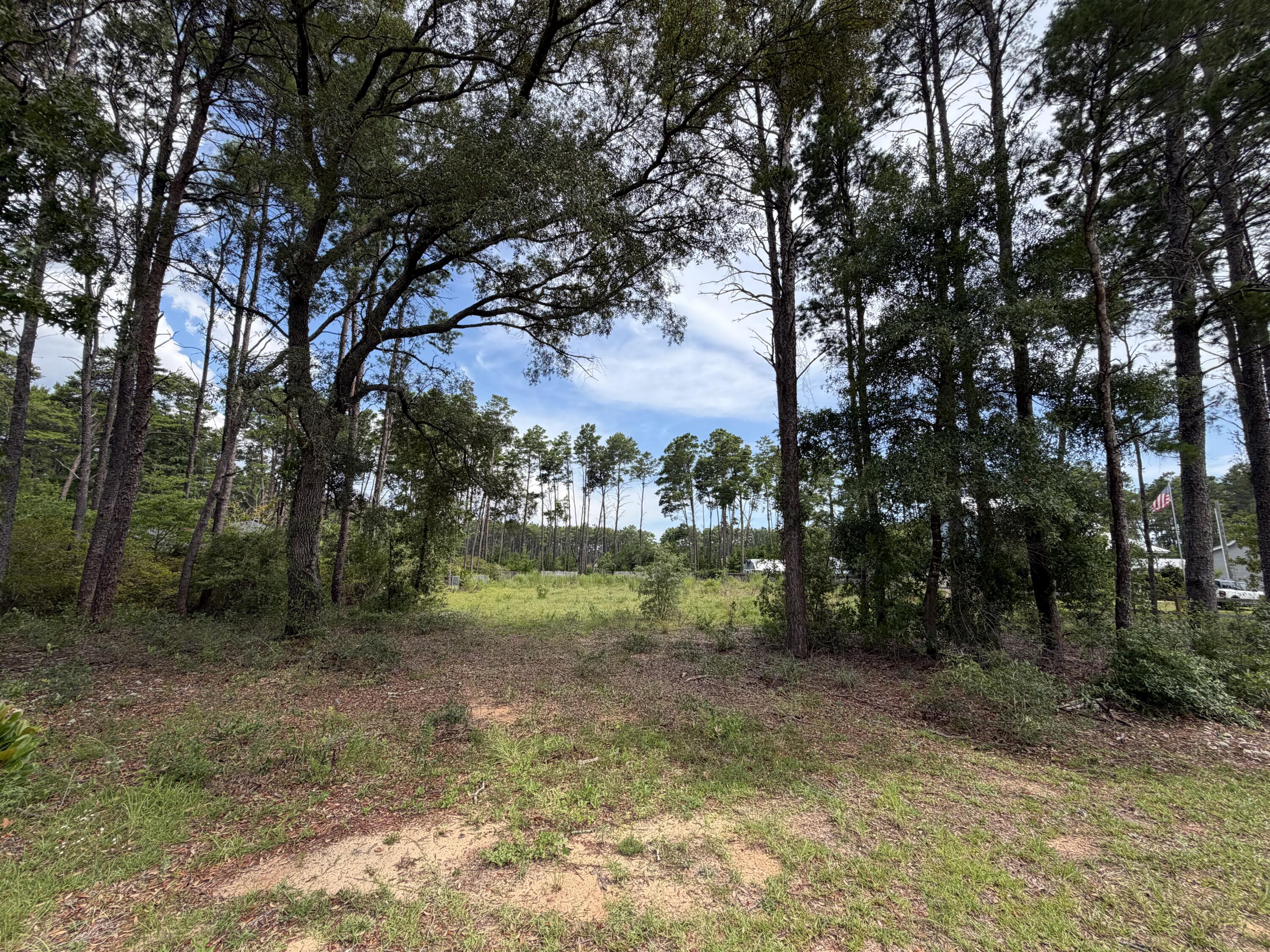 This half acre lot is partially cleared and ready for your dream home in the quaint community of Happy Hollow. This lot is conveniently located just minutes from Highway 331, downtown Freeport, shopping, restaurants, school and Choctawhatchee Bay water access. It is less than 10 miles from Highway 98 and the beaches of 30a. Per seller, public water and sewer tap fees have been paid. All info deemed important must be verified by the buyer.