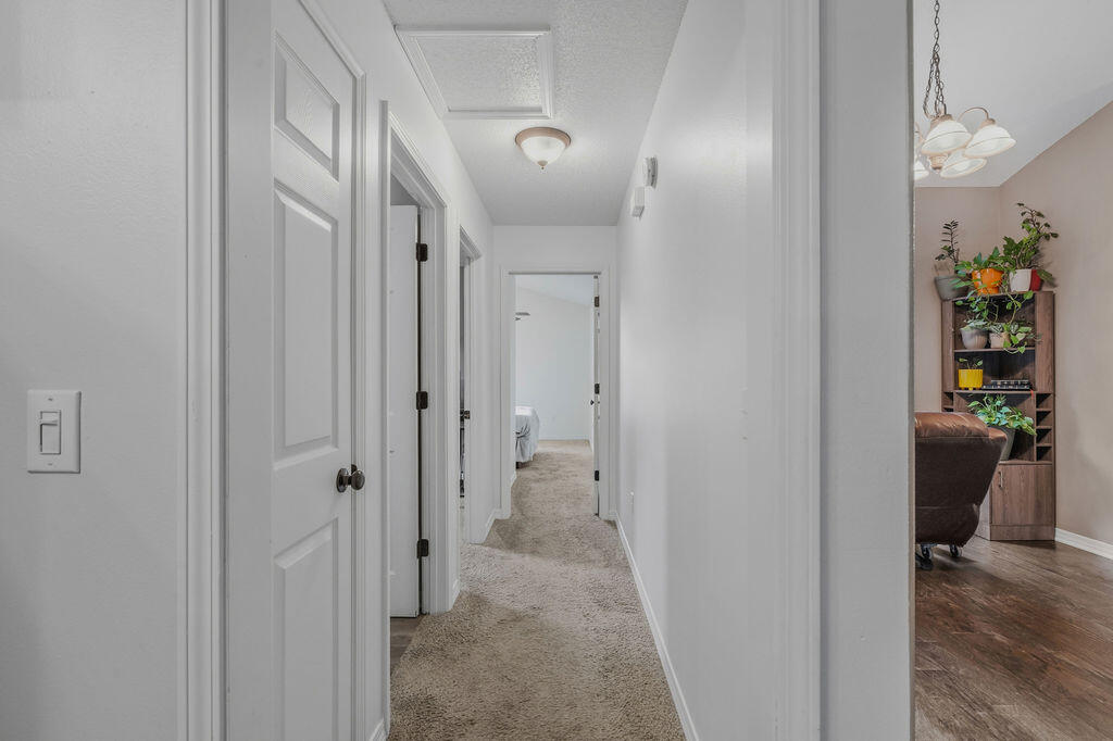HAWK'S NEST - Residential