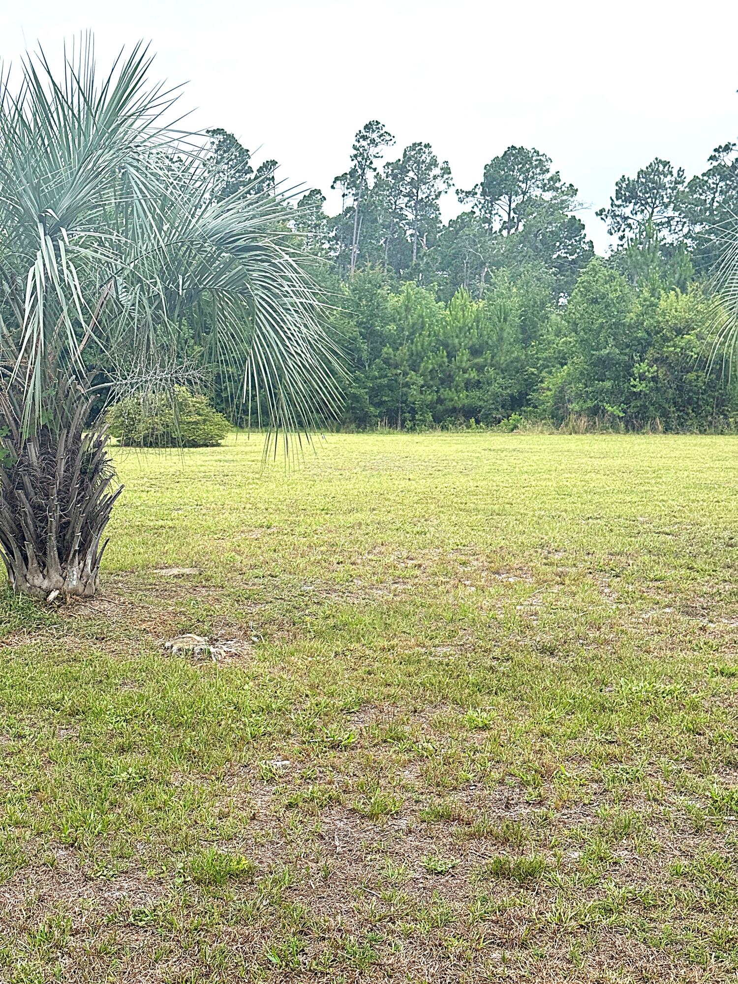 Site ready oversized 1/2 acre plus lots that are golf cart accessible to town, only an easy 3000' distance from St Joseph Bay. NO HOA, X Flood Zone on a major portion of the lot, high and dry with established grass, paved dead end street with no through traffic, water, sewer, electric, propane available and RV compliant. Lot is 3 to 5 times the size of comparable area lots and are priced below market. Lot is a portion of parcel ID # 06223-000R subject to division per the attached rendering. Some information was obtained via the Gulf County Property Appraisers Office, please verify if important.