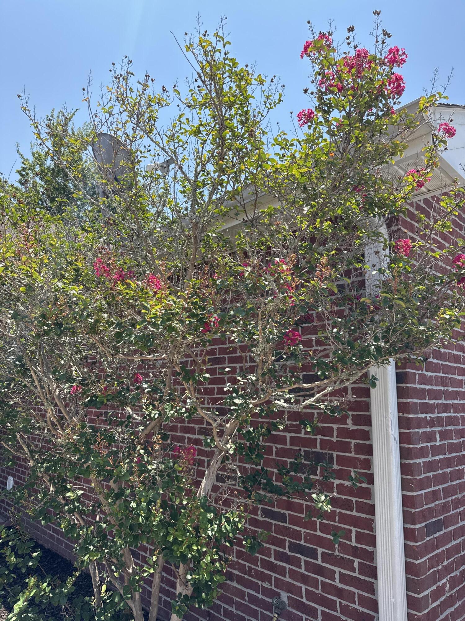 In the heart of Destin.  Neighborhood Pool. Almost 1400 sqft. 3bdrm/2bath townhome with vaulted ceilings and tile flooring throughout 1st floor.   Upstairs; small loft, two additional bedrooms, and full bathroom.  Large one car garage with extra space for storage and laundry area. Wide driveway for multiple vehicles.