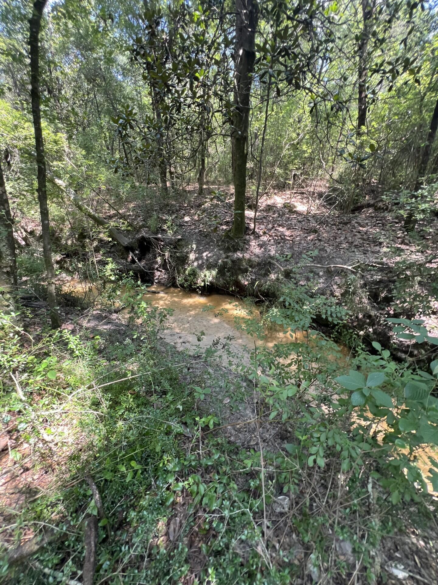Adjacent to, but not part of, Walton Plantation, Laurel Hill. - Land
