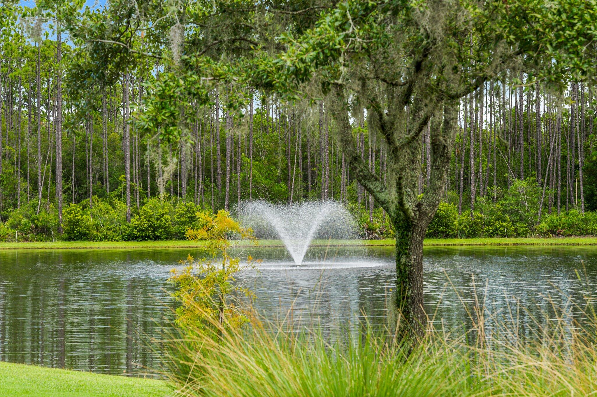 Naturewalk at Watersound Origins - Residential
