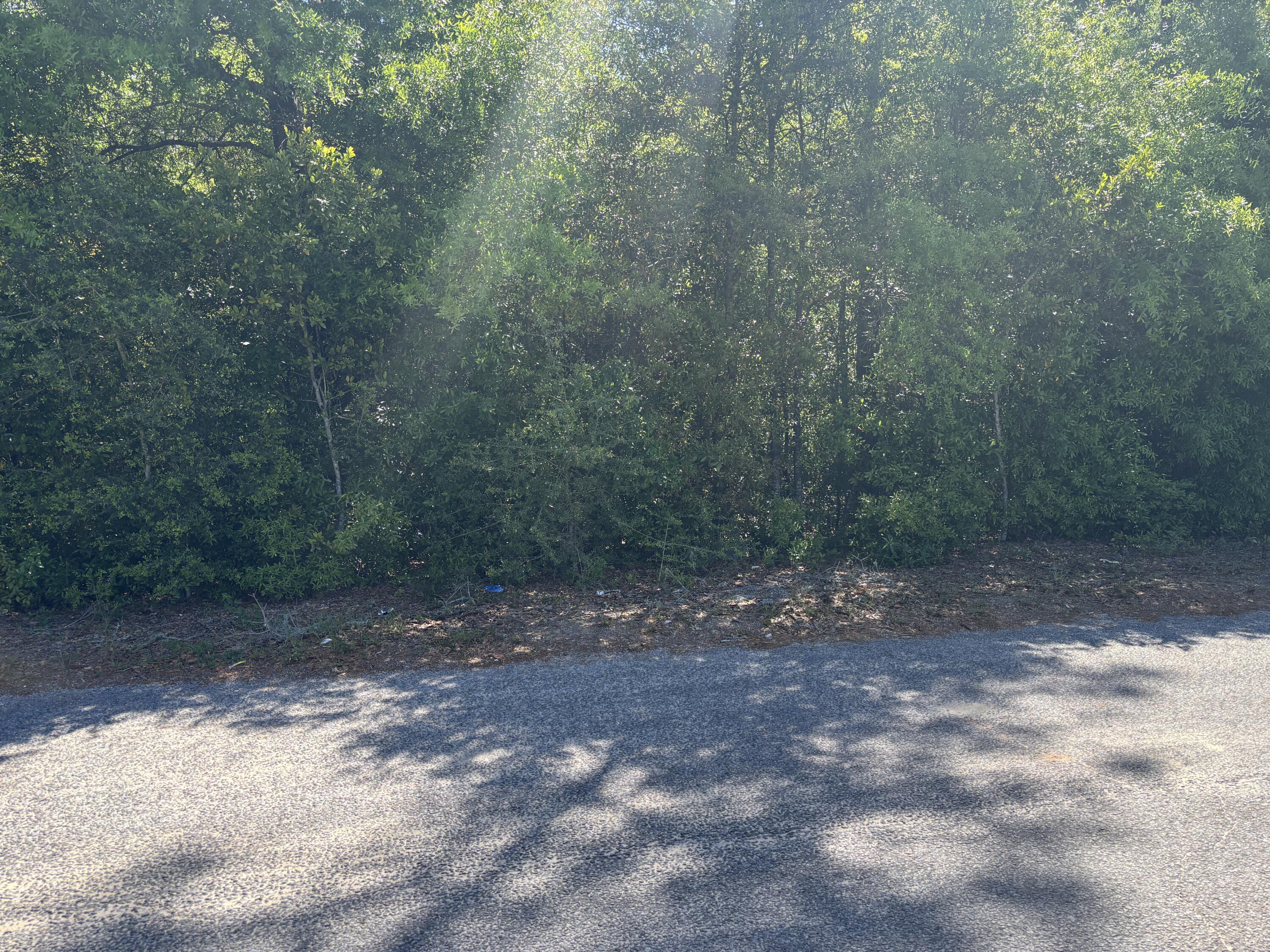 Seller offering up $3500k towards buyers closing costs or anyway money. Seller said bring all offers! This is a great opportunity to own acreage in Defuniak City Limits, On a paved road,  Located approximately 1 mile to Walmart, Lake Defuniak and I10 (exit 85). 
Build your dream home or have it rezoned to build your office, retail space or multi family home. The possibilities are there.
Utilities to include electric,  water and sewer at road side. See survey in documents.
Buyer to verify land use and development restrictions. Don't let this one get away, call and make your showing appointment today!