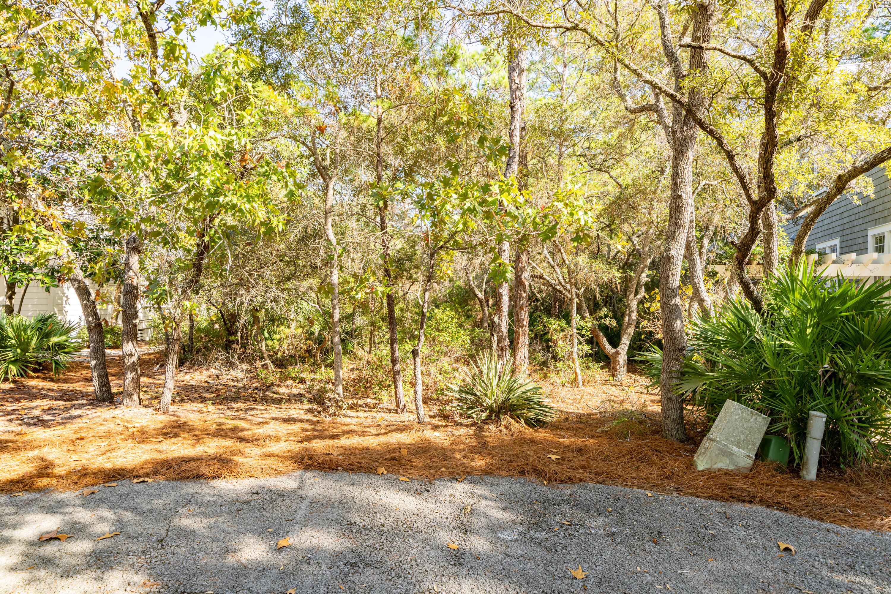 THE HAMMOCKS OF SEAGROVE - Residential