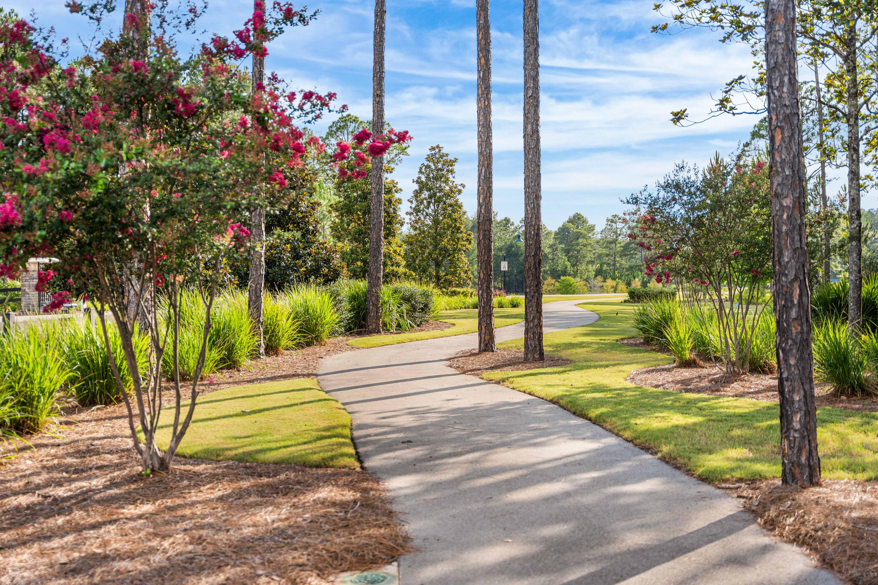 Hammock Bay - Residential