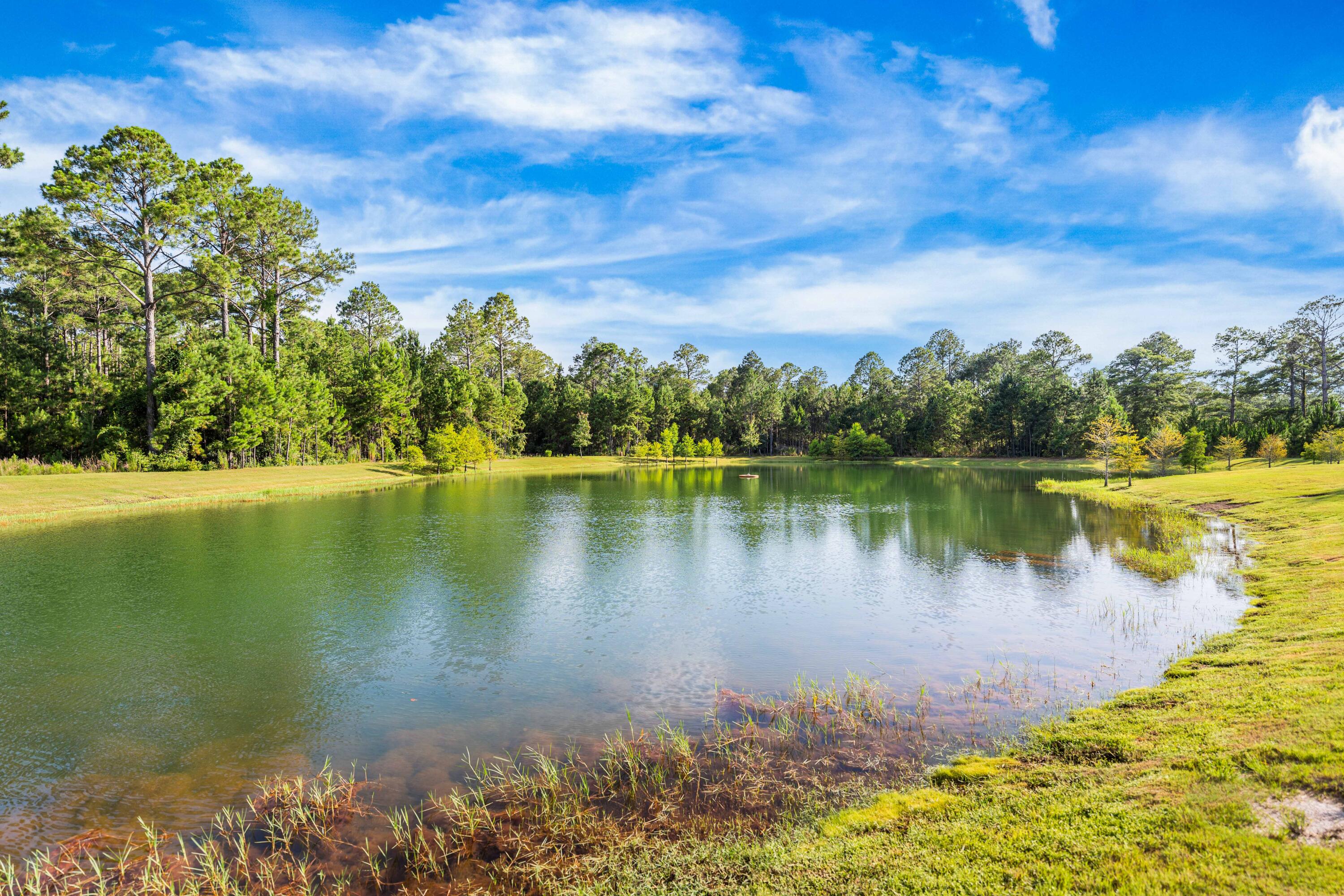 Hammock Bay - Residential
