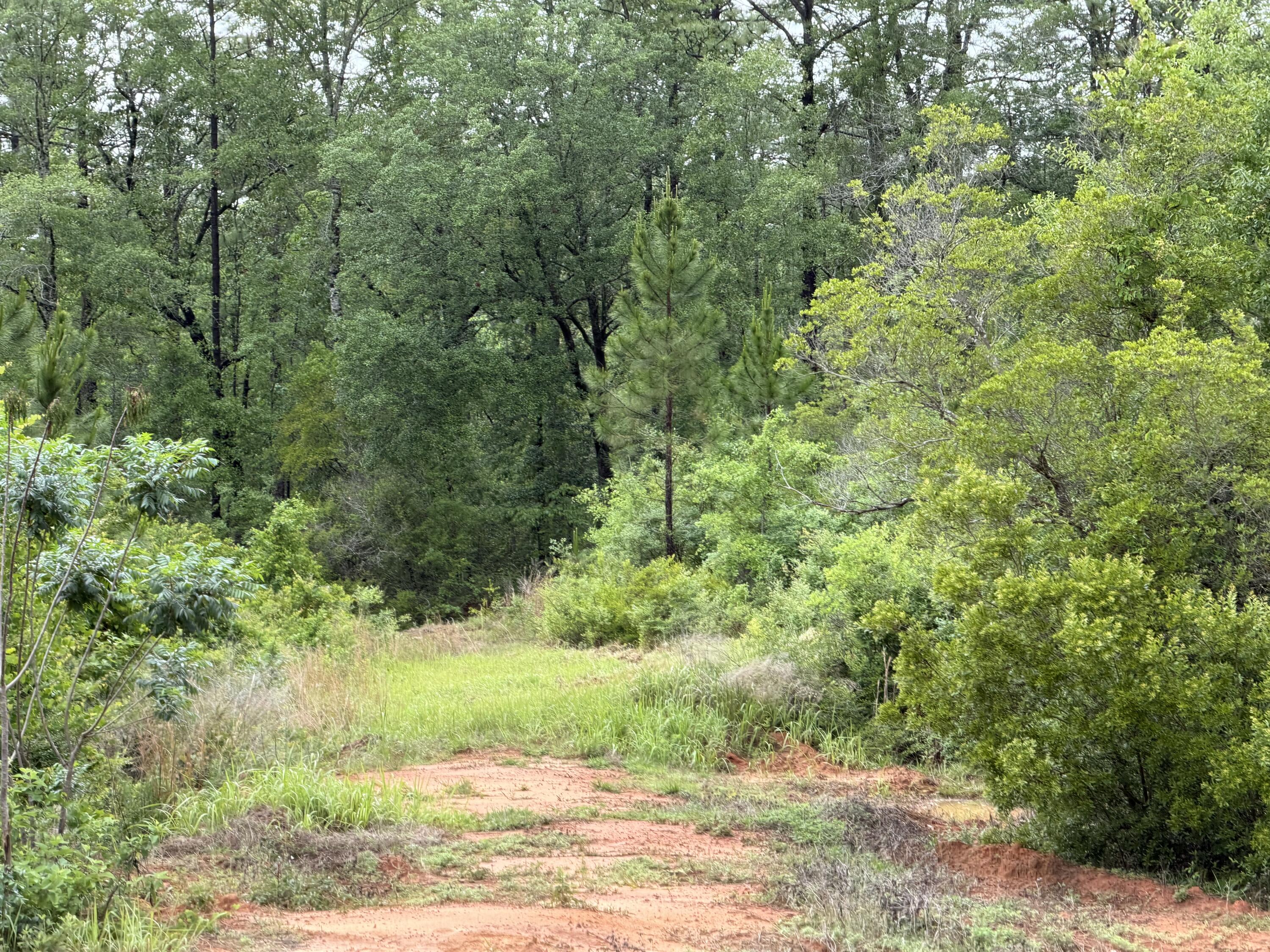 Beautiful 7.37 acres  adjacent to 500 acres of the Blackwater Forest. prime hunting land! Partially cleared. Come build your dream home  on this pristine piece of land in rural Baker.