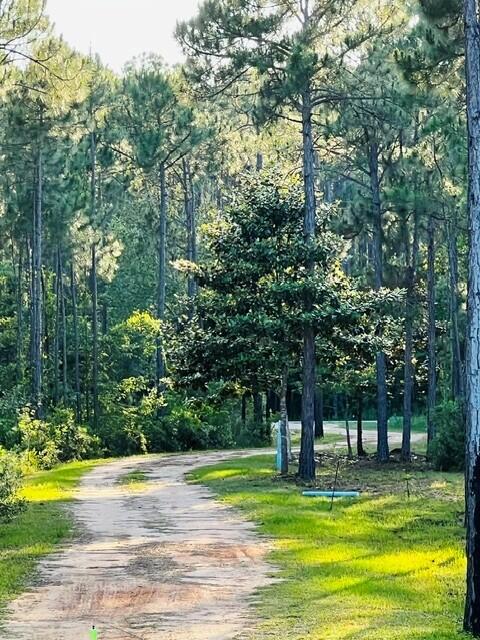 NO RECORDED SUBDIVISION - Land