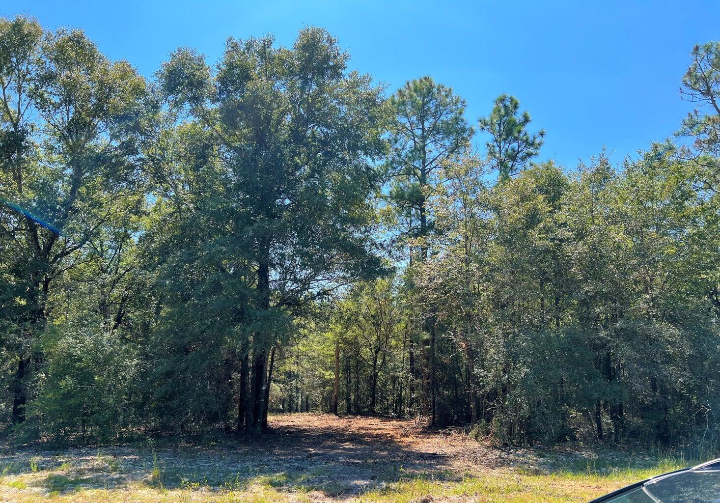 New Subdivision - Country Ridge Estates - Land
