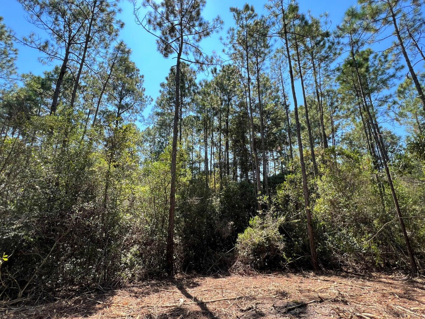 New Subdivision - Country Ridge Estates - Land