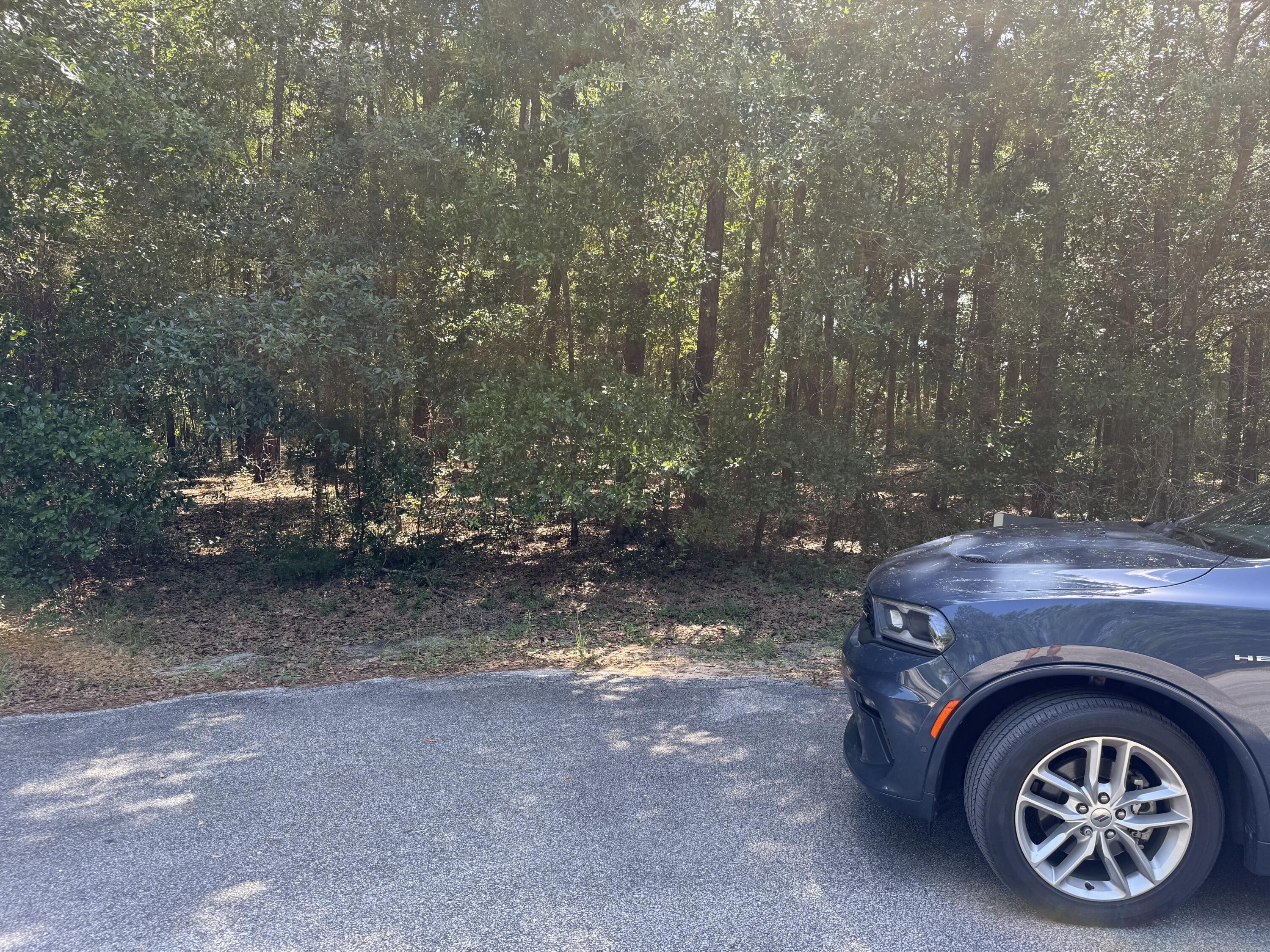 Tall Timbers Estates - Land