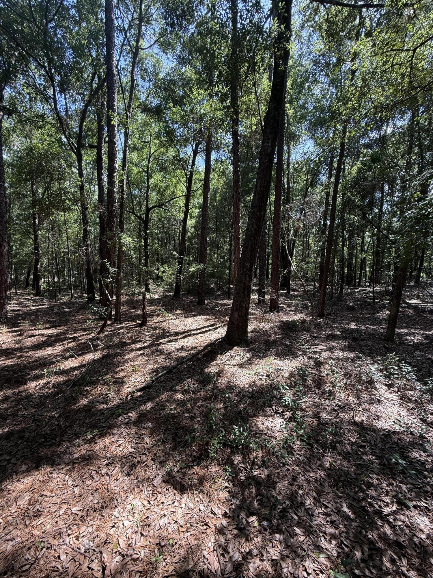 Tall Timbers Estates - Land