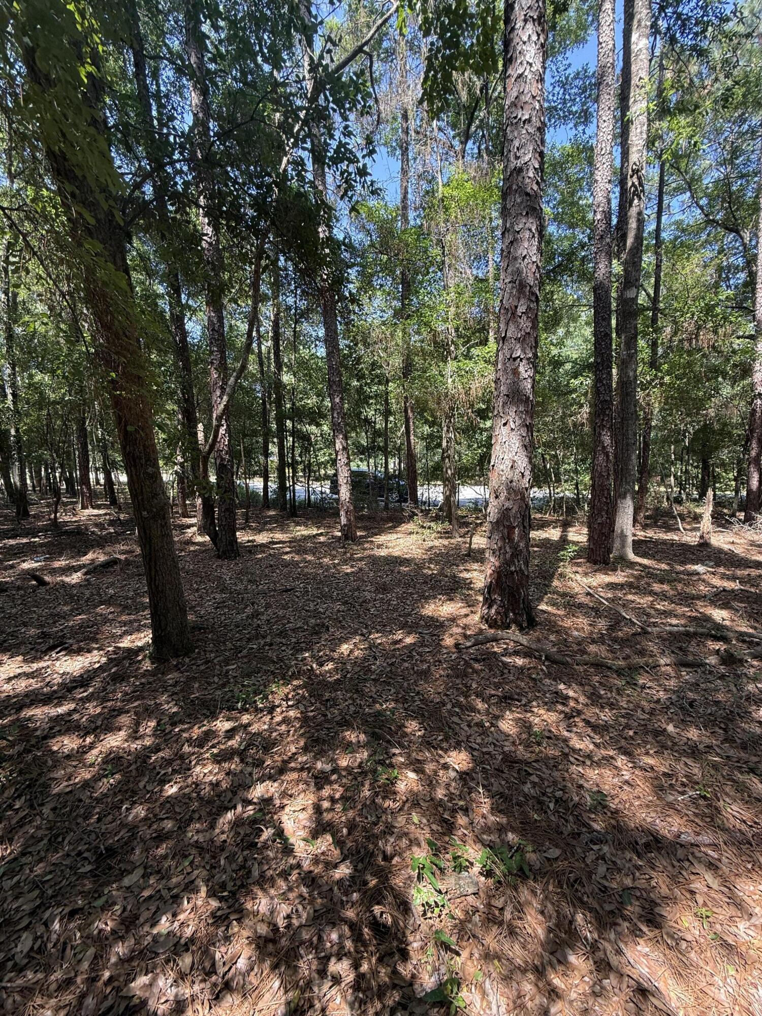 Tall Timbers Estates - Land