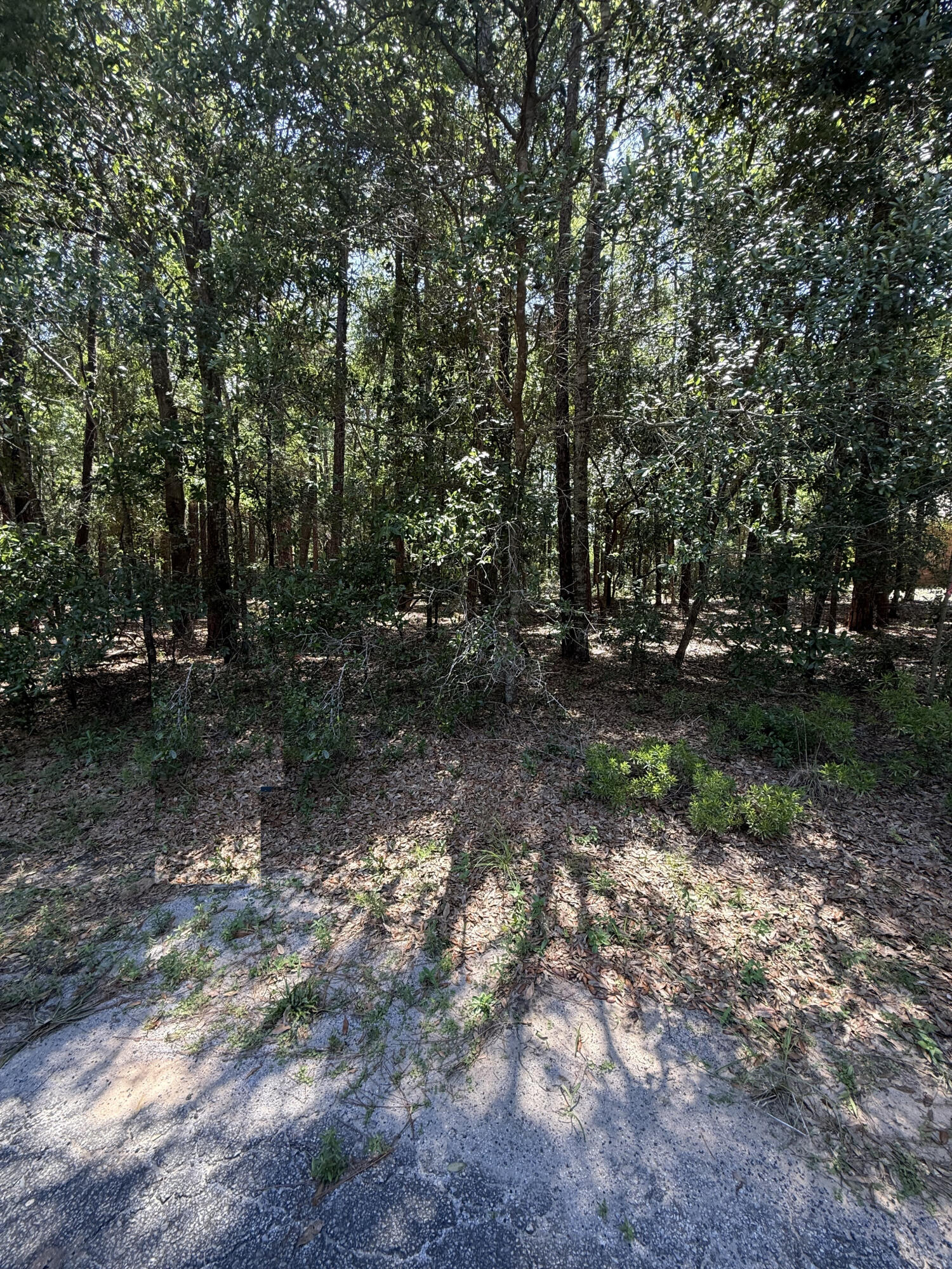 Tall Timbers Estates - Land