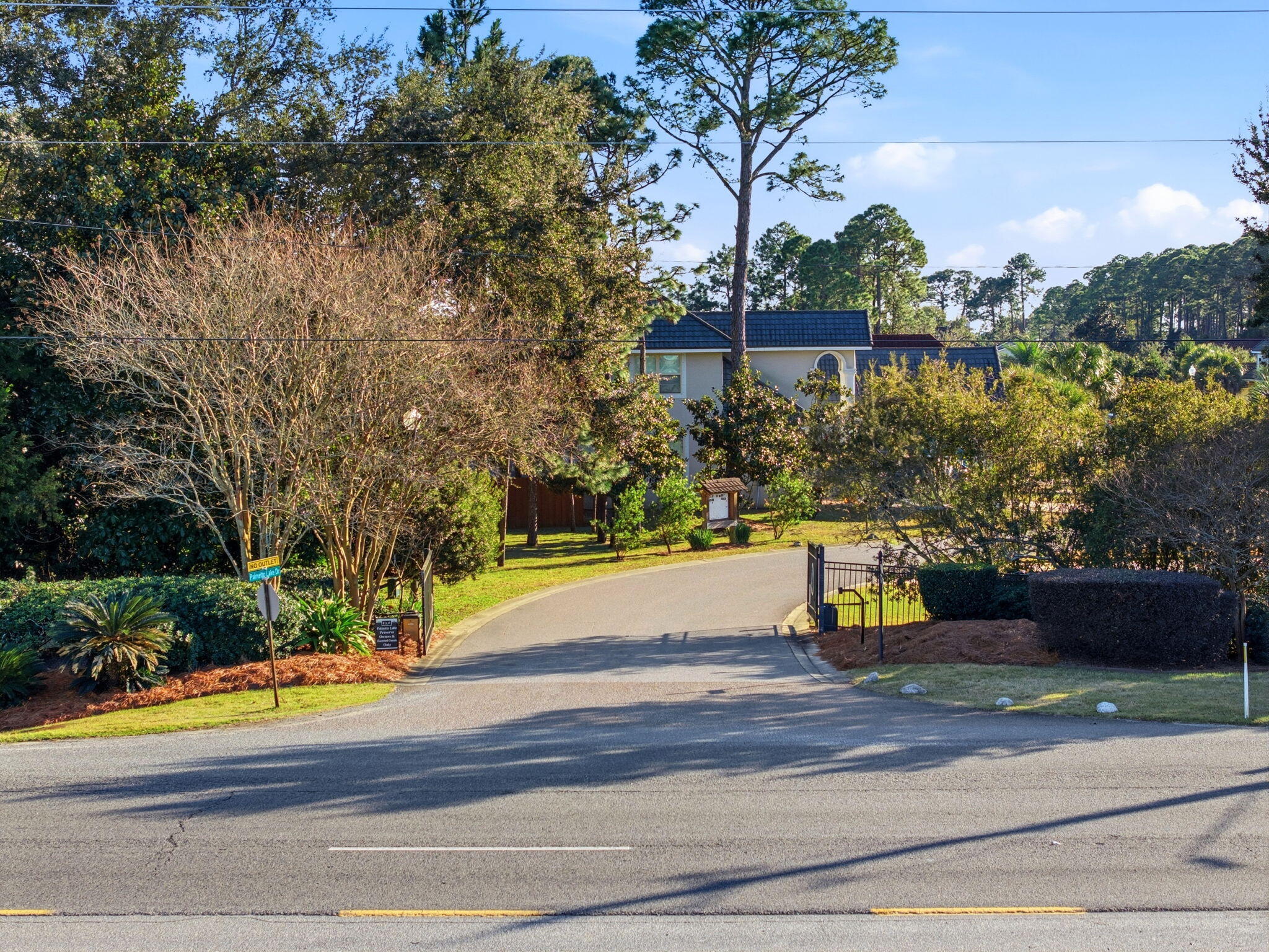 PALMETTO LAKE PRESERVE - Residential