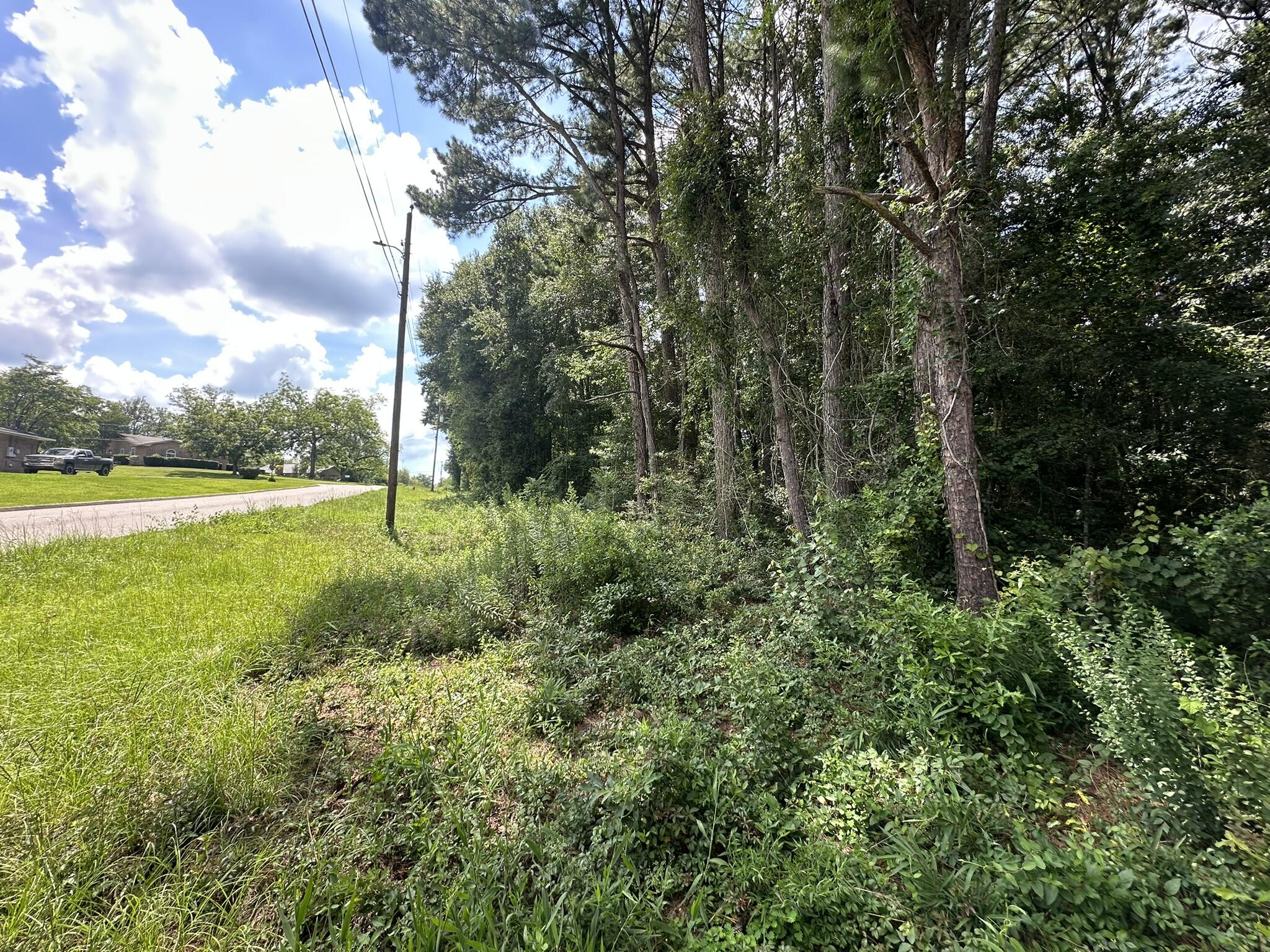 Discover the opportunity to create your own space on Duval Drive in Opp, Alabama. Located within an established residential subdivision, this lot offers a setting that feels removed from the busier pace while still providing convenient access to the shopping, dining, schools, and everyday amenities found throughout the Opp area. Known for its welcoming small-town atmosphere and access to outdoor recreation, Opp offers a comfortable blend of community and convenience. Whether you are considering a future homesite or looking to add land to your investment portfolio, this property provides a blank canvas with plenty of potential. Buyer and buyer's agent to verify all information deemed important, including lot dimensions, zoning, property use, utilities, restrictions, and building requirements.
Seller holds title via tax deed. Buyer and buyer's agent to conduct all due diligence.