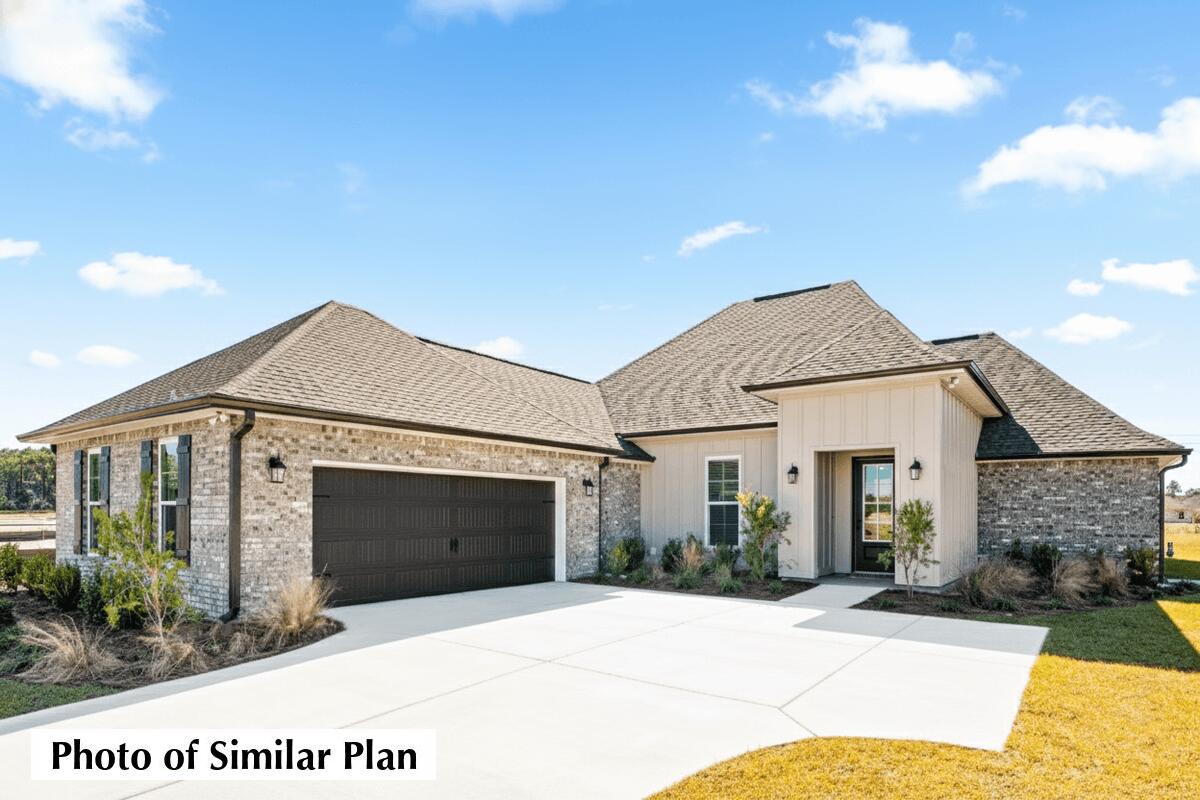 HAMMOCK BAY - BIRD SONG - Residential