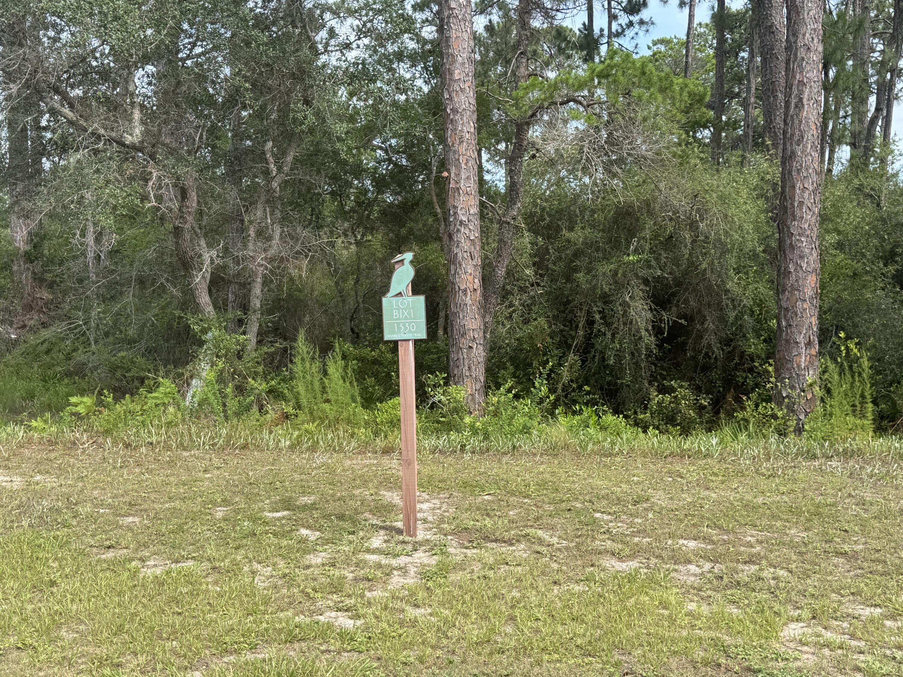 Wild Heron - Land