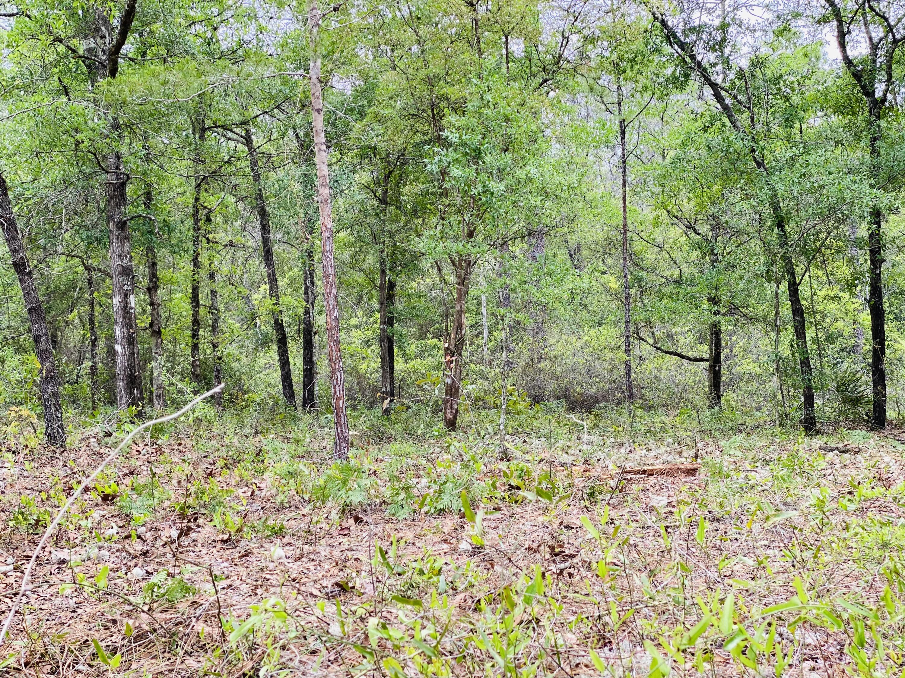 OAKWOOD HILLS UNIT 2 - Land
