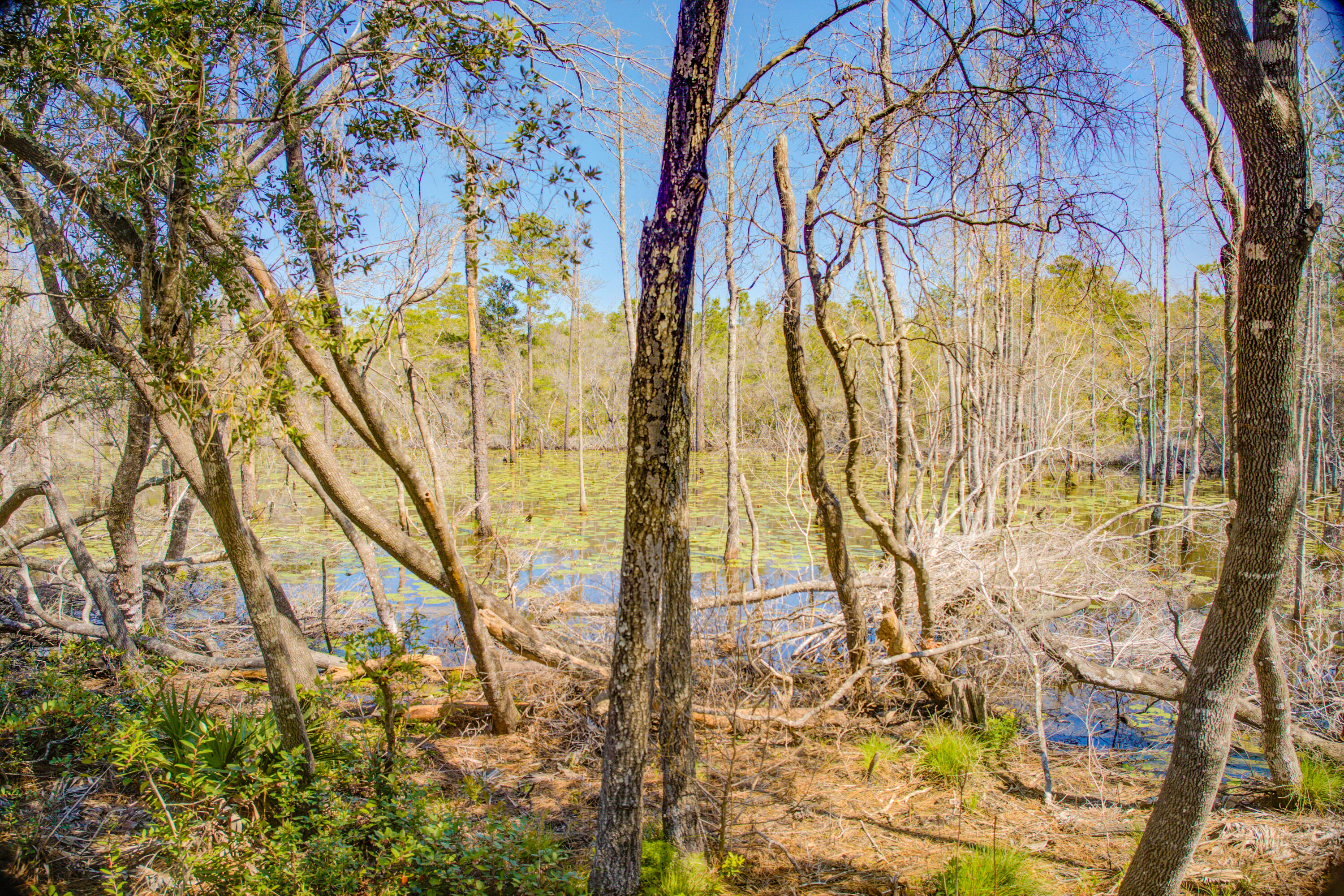 Peach Creek Phase 5 - Residential