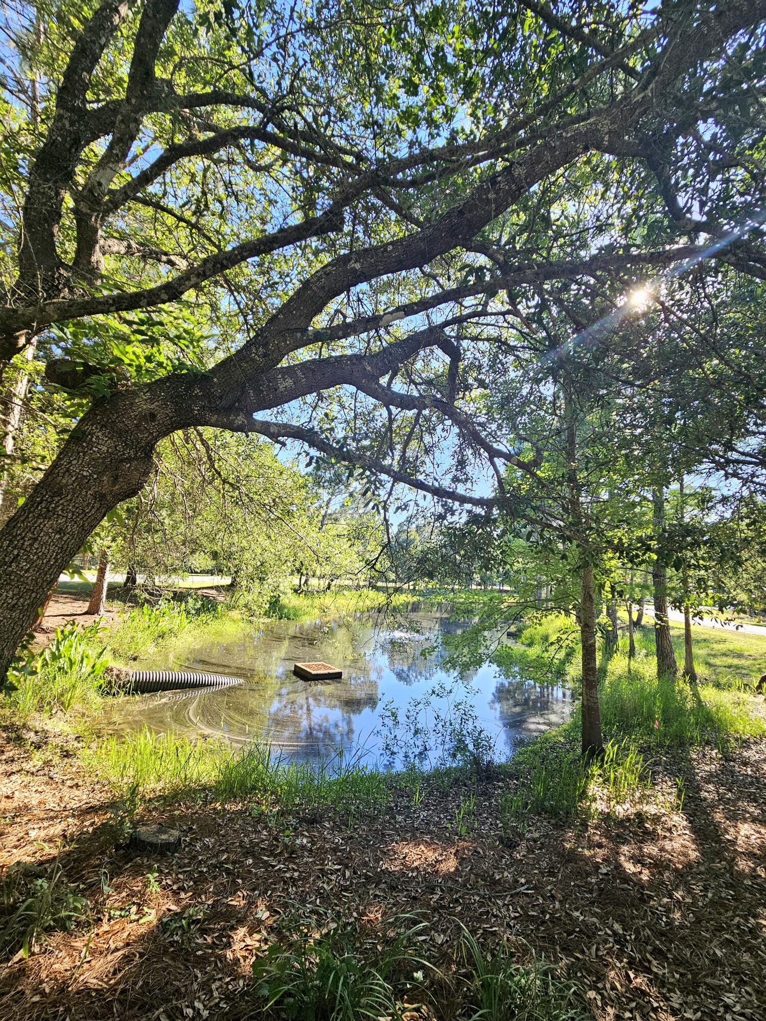 Exceptional opportunity to build your custom dream home on this spacious 0.54-acre corner homesite in the prestigious gated community of Wild Heron. Ideally positioned near the community entrance, this unique lot fronts multiple streets and backs to a natural preserve, offering outstanding building flexibility, added privacy, and serene green views. With no neighboring homes directly abutting the property, this homesite provides a rare sense of space and seclusion.

Nestled within the 732-acre coastal sanctuary of Wild Heron on Lake Powell, residents enjoy access to some of the area's finest amenities, including the Greg Norman-designed Shark's Tooth Golf Club, resort-style pool and hot tub, fitness center, lakeside grills, fire pit, playground, scenic boardwalks, and the Boathouse at Prospect Point with kayaks and canoes available for resident use.

Conveniently located just minutes from the white-sand beaches of the Gulf, 30A, Pier Park, dining, shopping, and outdoor recreation, this is a rare opportunity to build in one of Panama City Beach's premier gated communities.