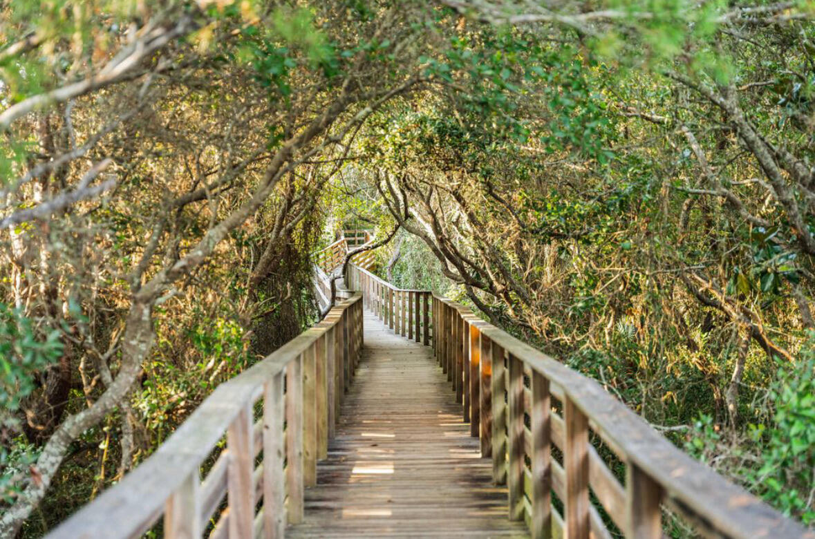 THE PRESERVE AT GRAYTON BEACH - Land