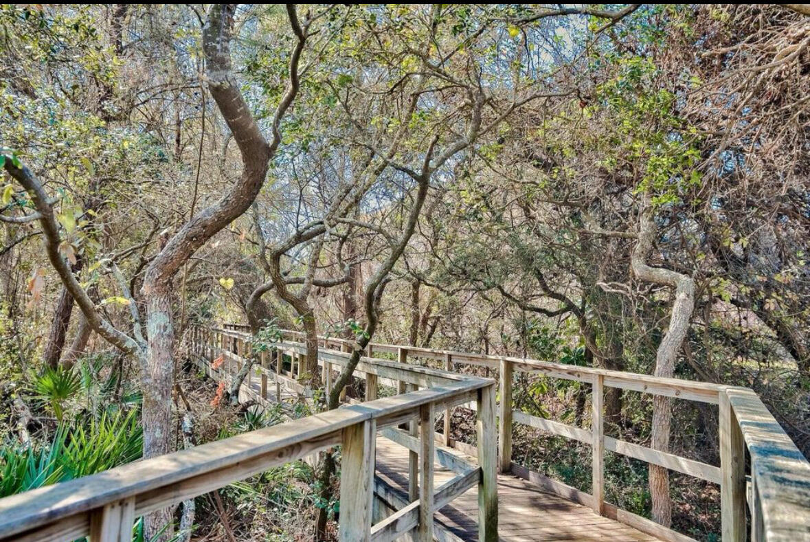 THE PRESERVE AT GRAYTON BEACH - Land