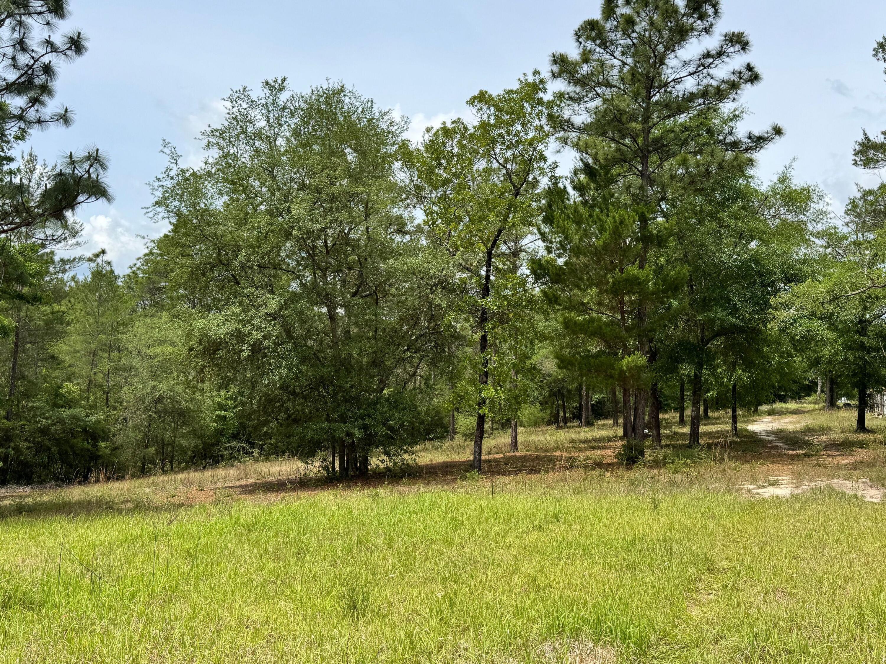 HINOTE COMMONS - Land