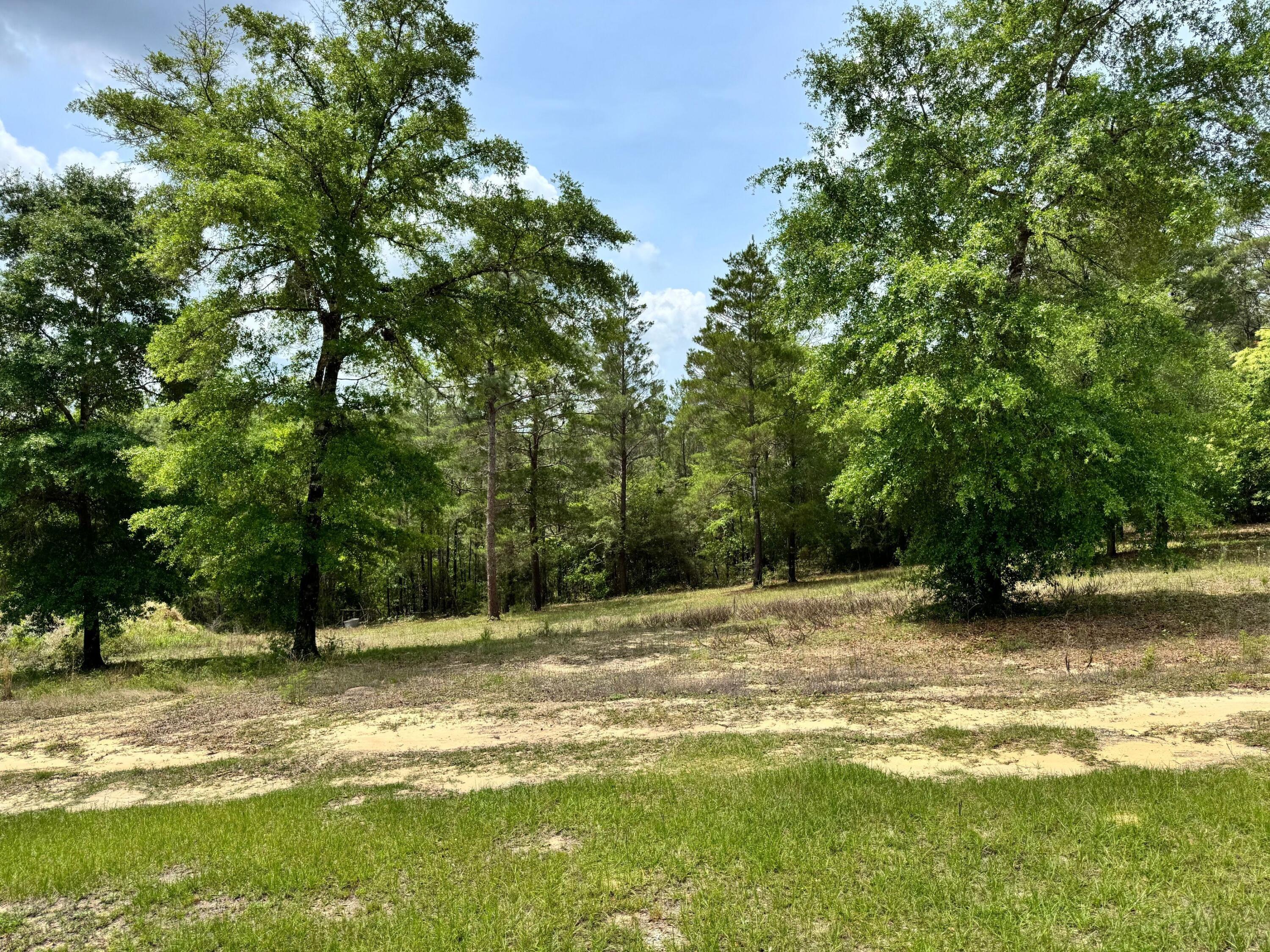 Tucked within the quiet countryside of DeFuniak Springs, this 7.55 acre property presents an opportunity to own a piece of land with space, privacy, and future potential. Surrounded by mature trees and a relaxed rural setting, the property offers a flexible canvas for a variety of possibilities, with the added convenience of paved road access.

Existing structures and utilities are already in place and will convey as-is, making this an appealing option for buyers seeking land with infrastructure already established. Whether you're looking to build, invest, create a private retreat, or reimagine the property entirely, this is a chance to shape the space to fit your vision.