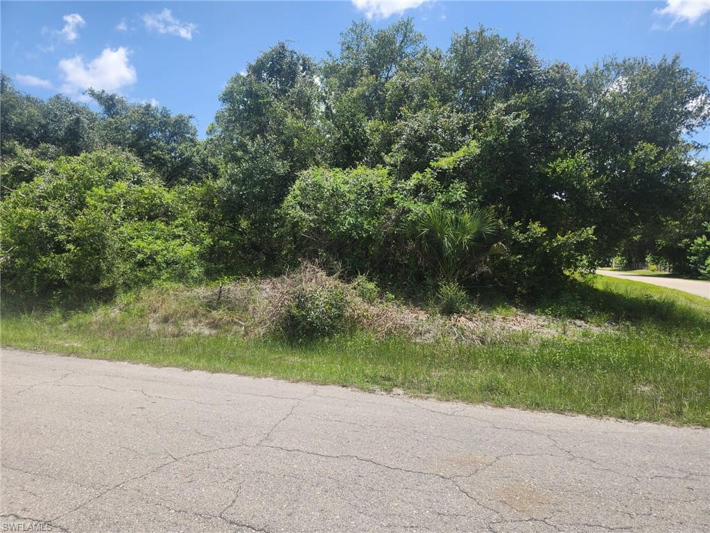 LEHIGH ACRES - Land