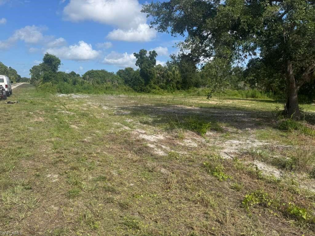 Discover the perfect canvas for your dream home or next investment on this spacious 0.41+ acre lot located in the peaceful and rapidly growing community of Alva. Boasting over 18,000 square feet of space, this property offers ample room to build a custom single-family residence with a pool, outdoor living area, and plenty of privacy. Enjoy the best of both worlds—the tranquility of country-style living with NO HOA fees or restrictive rules, yet conveniently situated with easy access to State Road 80. This location seamlessly connects you to Fort Myers, local shopping, dining, and outdoor recreational activities along the beautiful Caloosahatchee River. Whether you are looking to build right away or hold for the future, this is a fantastic opportunity to own a piece of Southwest Florida. Drive by today and start envisioning the possibilities!