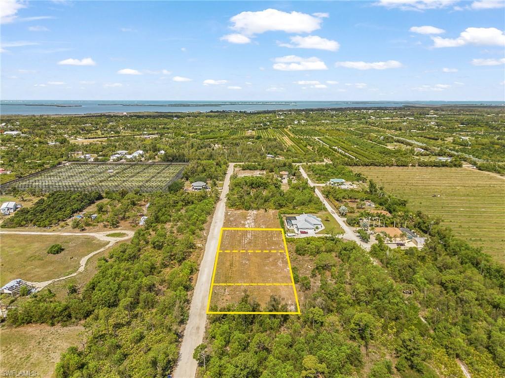 KREAMERS AVOCADO SUBD - Land