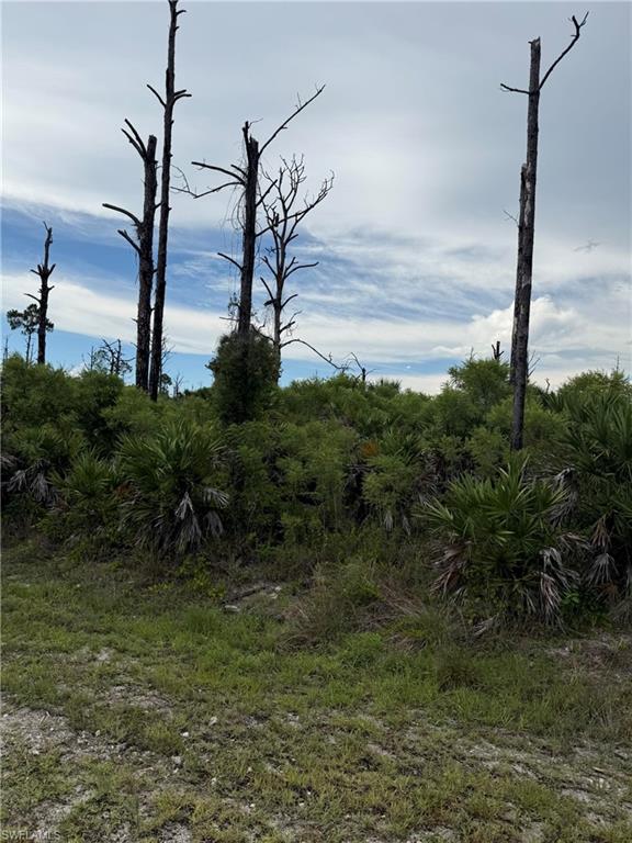 This is a vacant lot 2.5 acres 165' (wide) x 660' (long). No wetlands - entire lot is High and Dry. When this lot was purchased a wetland study was performed and it was confirmed not wetlands found. Lot is located to east property line 165 feet of existing neighbor 211 22nd Ave NW.