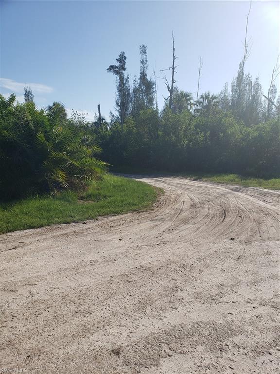 PINE ISLAND - Land