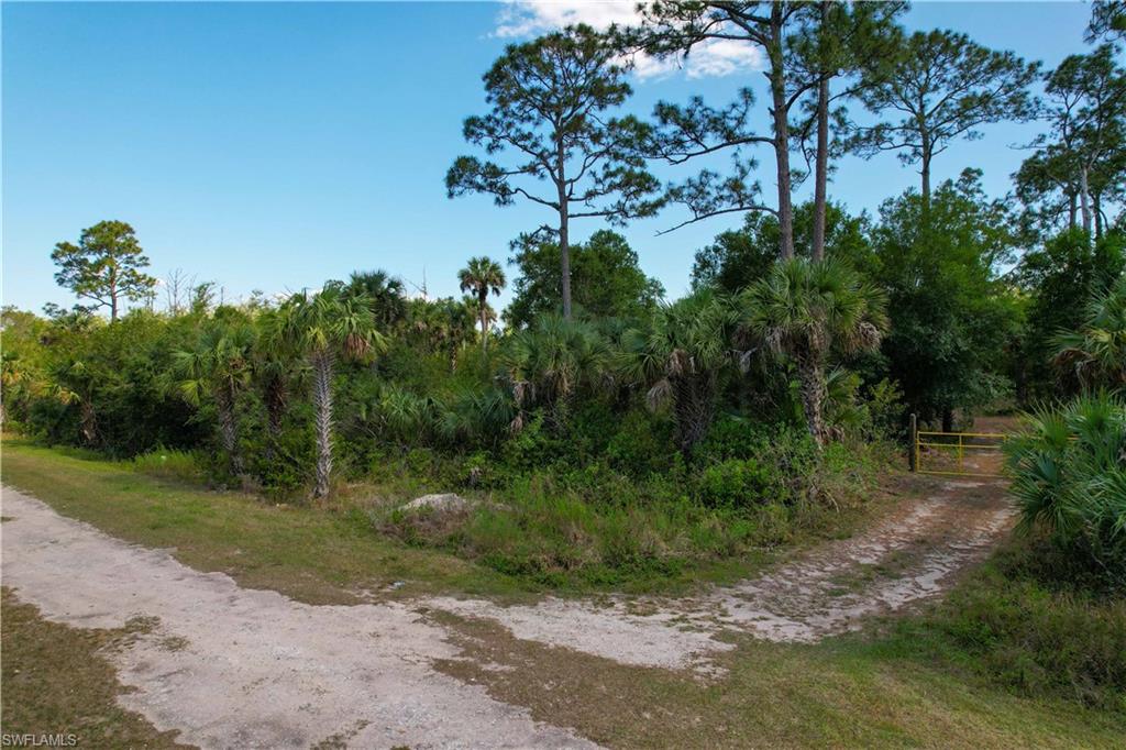 GOLDEN GATE ESTATES - Land