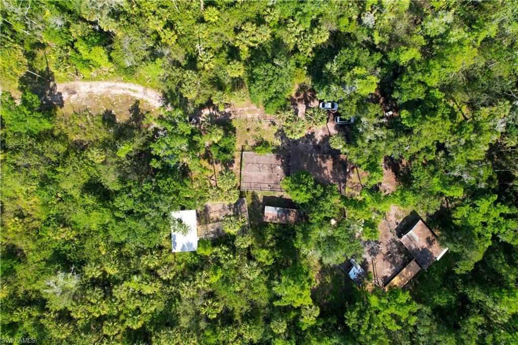 Situated on 2.5 ACRES in the heart of GOLDEN GATE ESTATES, this property offers a rare opportunity to enjoy a peaceful, RURAL LIFESTYLE with a head start on your vision. Zoned for SINGLE-FAMILY RESIDENTIAL use, with the added benefit of allowing a GUEST HOUSE, the land has already been thoughtfully CLEARED and PARTIALLY FENCED, with several FUNCTIONAL ANIMAL STRUCTURES and a variety of MATURE FRUIT TREES in place — ideal for those looking to start a GARDEN, tend to SMALL-SCALE AGRICULTURE, or simply enjoy the OPEN SPACE. With its LEVEL TERRAIN and ESTABLISHED LAYOUT, the property is well-prepared for a future HOMESITE or HOBBY FARM. Located just off DESOTO BLVD, you’ll enjoy the freedom of COUNTRY LIVING while still being within convenient reach of SHOPPING, DINING, and everything NAPLES has to offer. NO HOA and plenty of flexibility to BUILD, GROW, or HOLD FOR THE FUTURE.