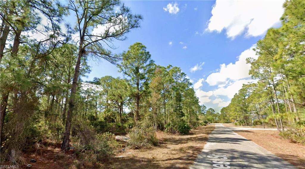 LEHIGH ACRES - Land