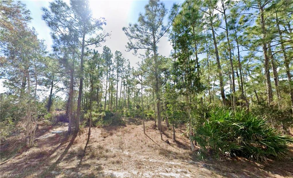 LEHIGH ACRES - Land