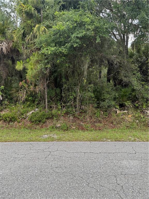 LEHIGH ACRES - Land