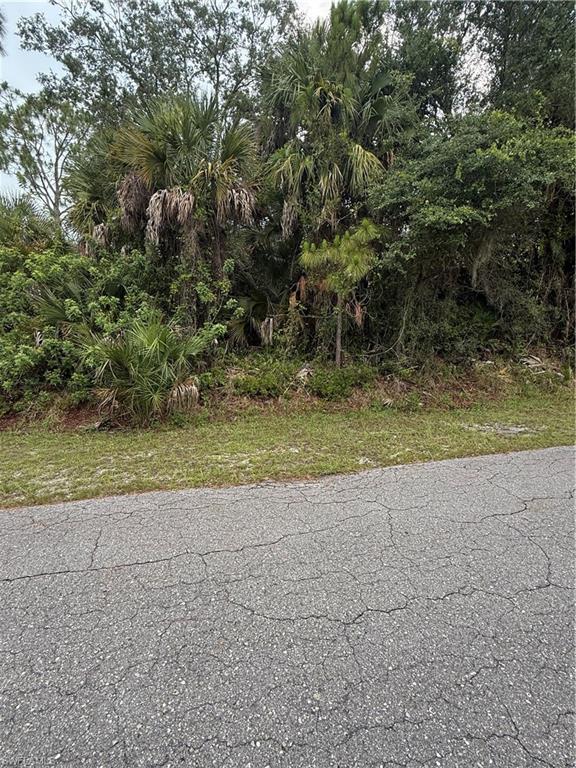 LEHIGH ACRES - Land