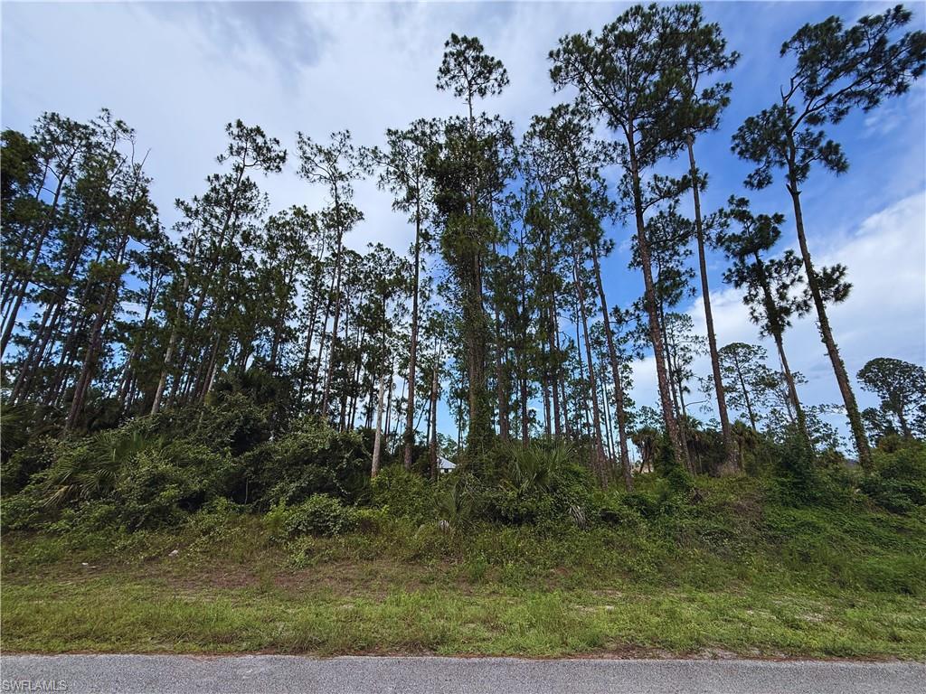 LEHIGH ACRES - Land