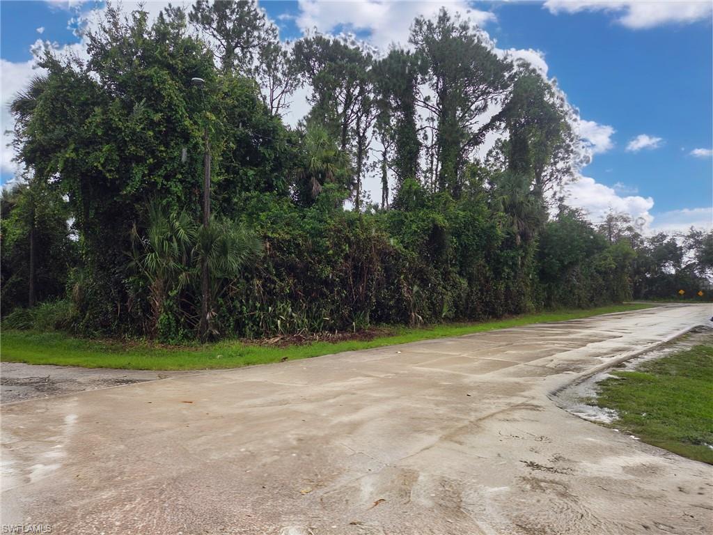 PALMONA PARK - Land