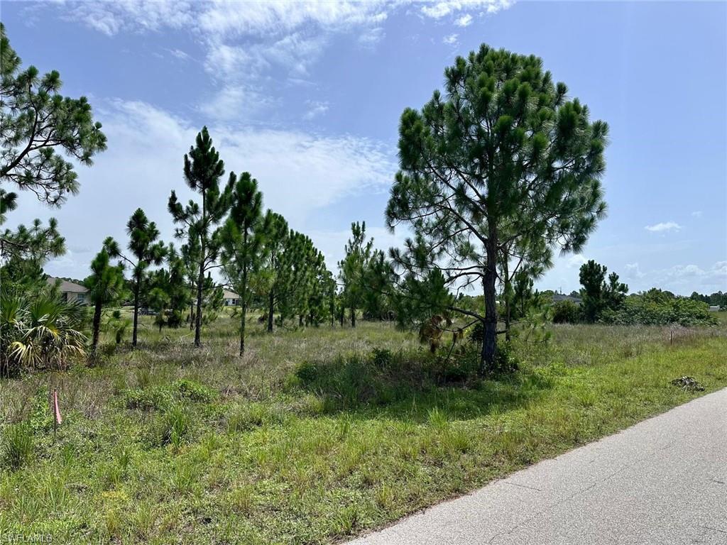 LEHIGH ACRES - Land