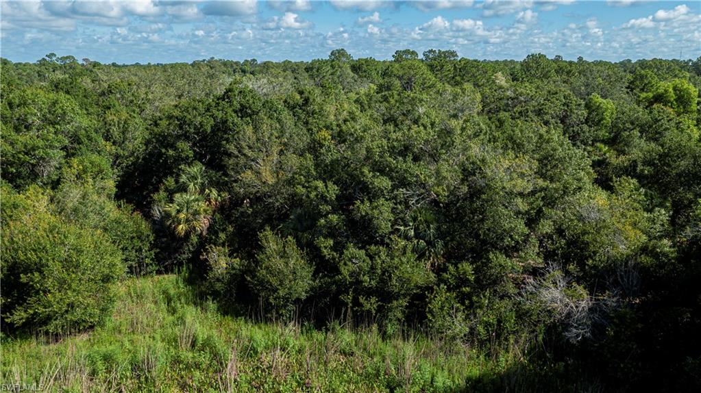 LEHIGH ACRES - Land