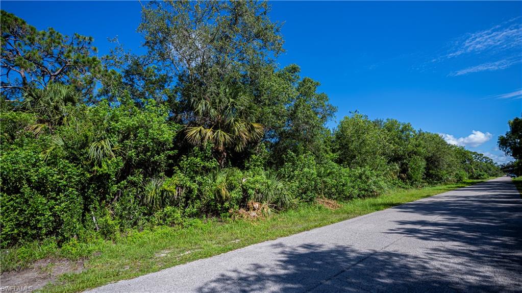 LEHIGH ACRES - Land
